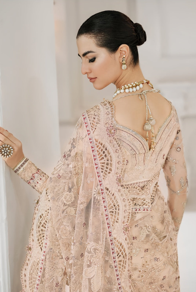 Luxury Embroidered Dress