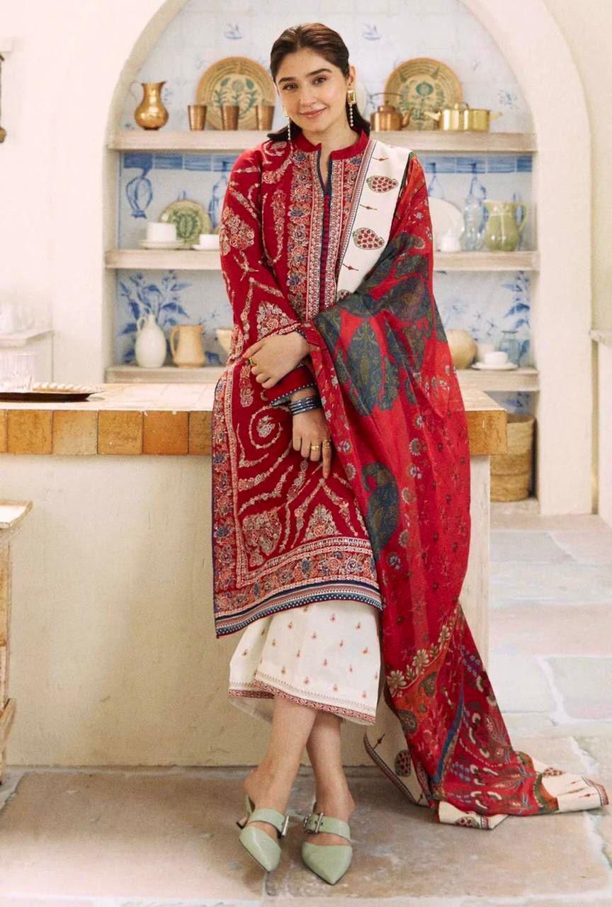 DHANAK Embroidered Work dress winter collection 2025