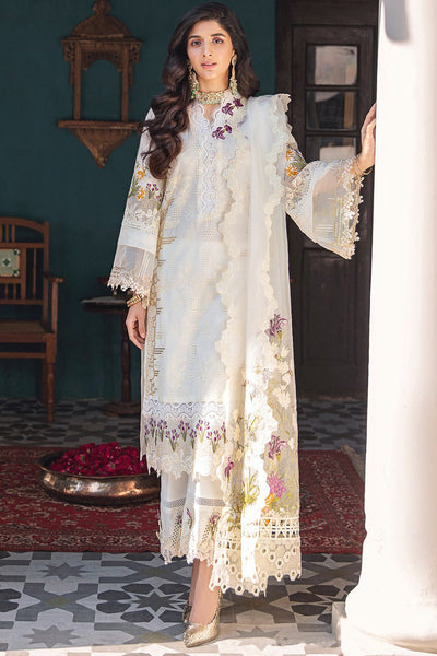 Elaf Festive Chikankari Collection